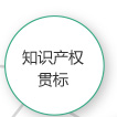 知识产权贯标