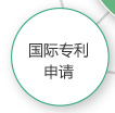 国际专利申请